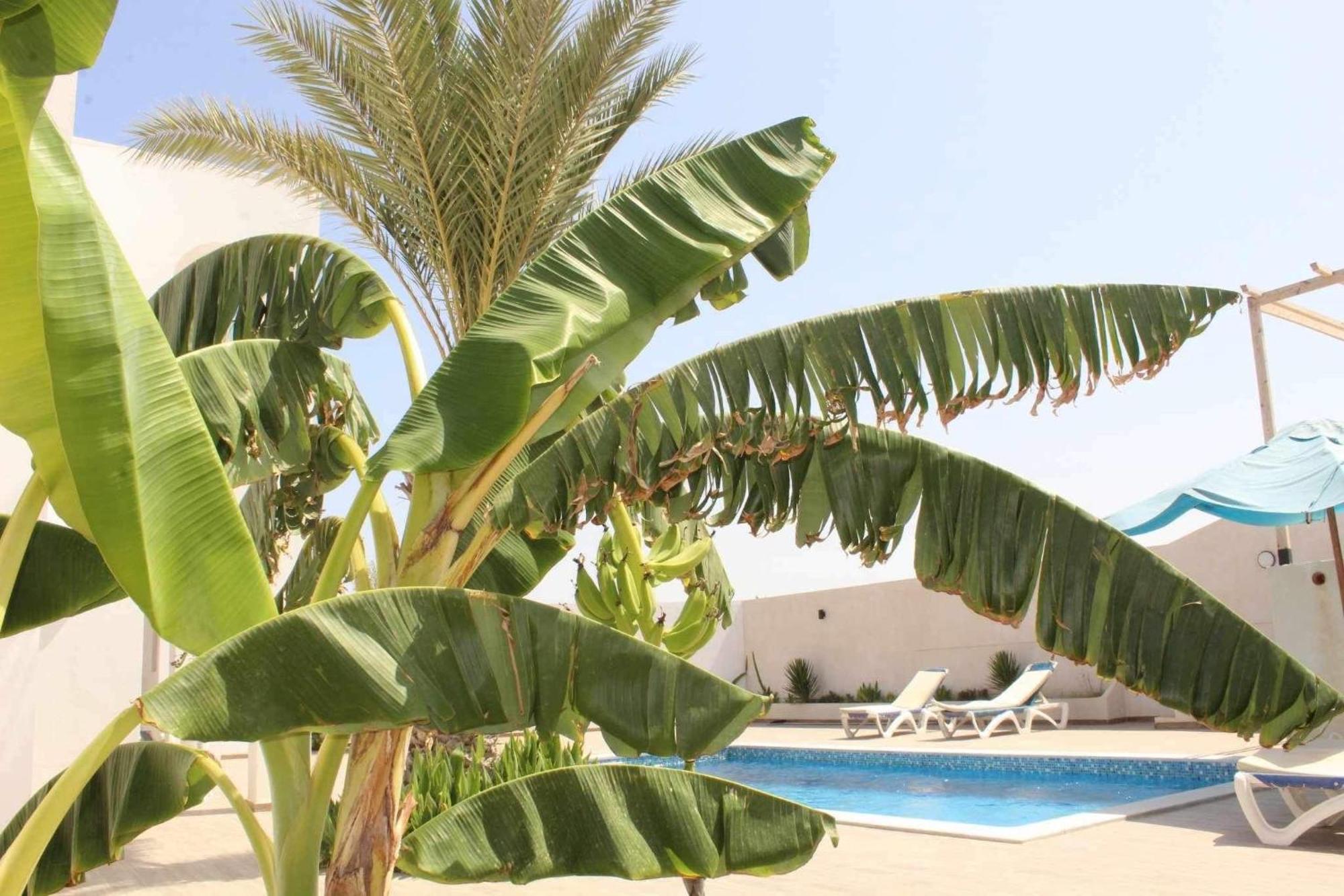 Dar Slima Villa Aghir Bagian luar foto